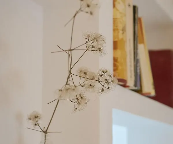 The Simple Place - Close To Slaveykov Square By Flat Mаnager *